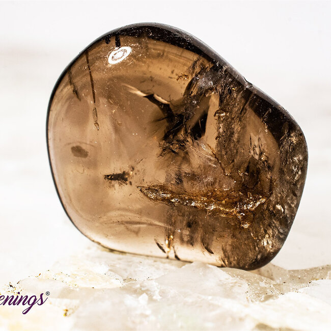 Fertility - Crystal Kits Set Bundle Pack Turritella Agate Smoky Quartz Carnelian Moonstone Unakite