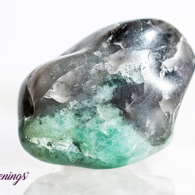 Immunity Booster - Crystal Kits Set Bundle Pack Colds Flu Emerald Rhodonite Jade Bloodstone Carnelian