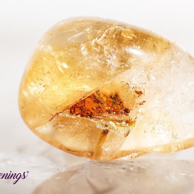 Manifest Money - Crystal Kits Set Bundle Pack - Green Aventurine Gold Rutilated Quartz Citrine Pyrite Jade
