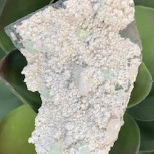 Aquamarine & Apophyllite on Matrix Large Specimen-Rough Raw Natural