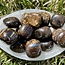 Bronzite (Enstatite Axinite) - Large Tumbled