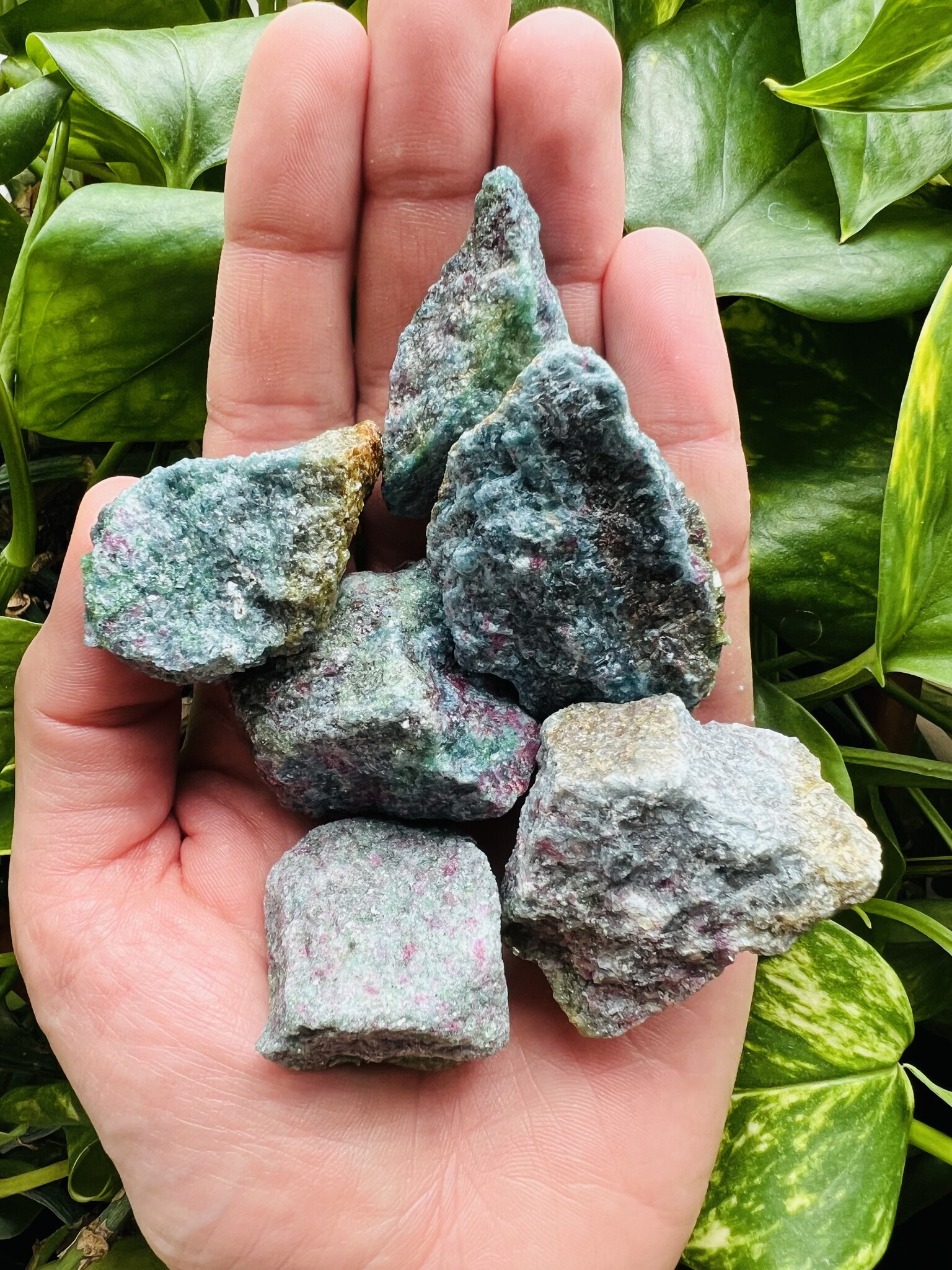 Ruby in Blue Kyanite - Rough Raw Natural - Awakenings