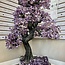 Amethyst Tree Specimen - XXL Jumbo