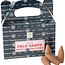 Palo Santo Backflow Reverse Flow Incense Cones - 24 Cones in Box - Satya