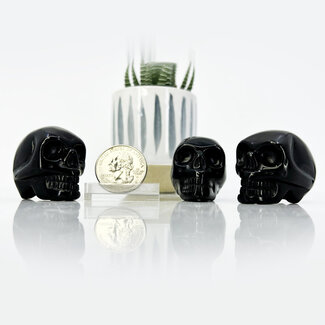 Black Obsidian Skull - Small 1.25" Carvings Figurines
