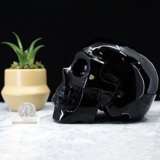 Black Obsidian Skull XXL Carving Carved Specimen