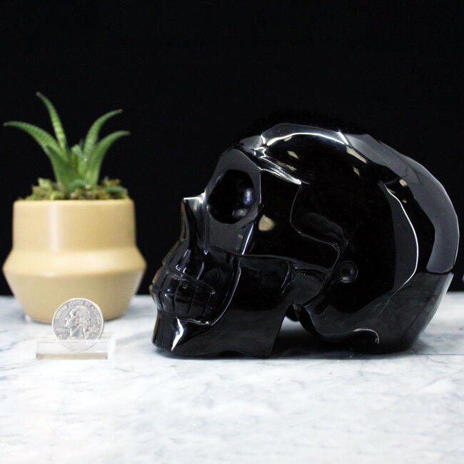 Black Obsidian Skull XXL Carving Carved Specimen