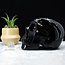 Black Obsidian Skull XXL Carving Carved Specimen