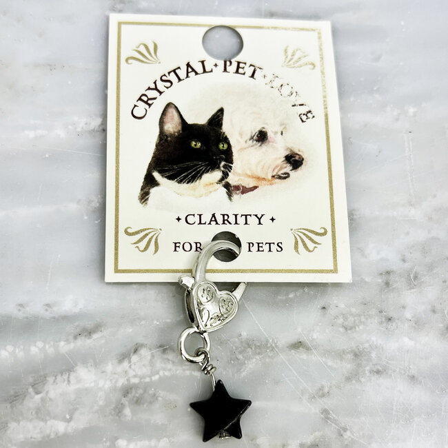 Pet Pendant Charm (Star) - Black Obsidian (Clarity) Dog Cat Animal Collar Pendant