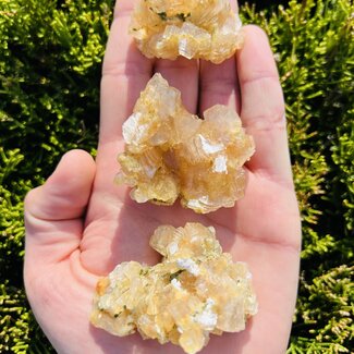 Gold Apophyllite Cluster-Rough Raw Natural