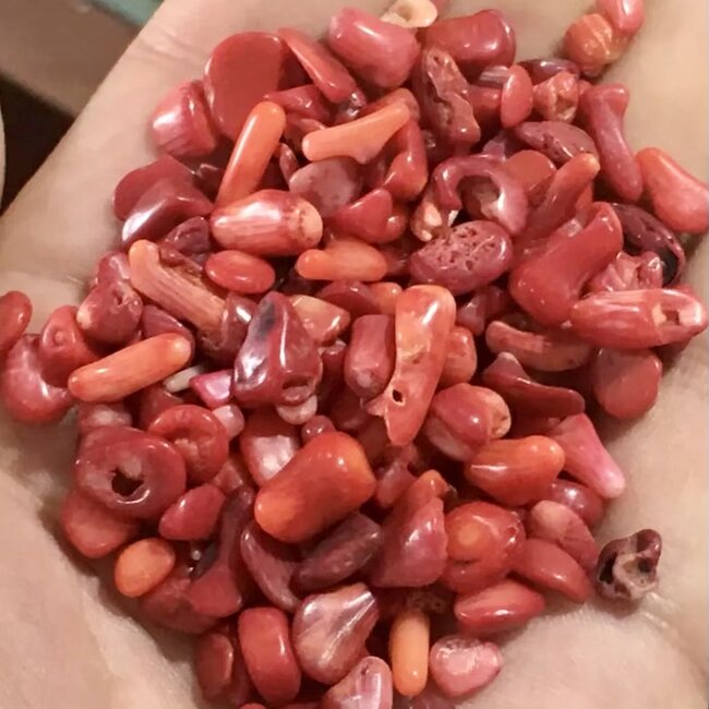 Red Coral - Tumbled Small Chip