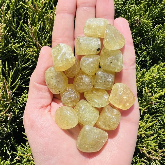 Yellow Apatite Tumbled