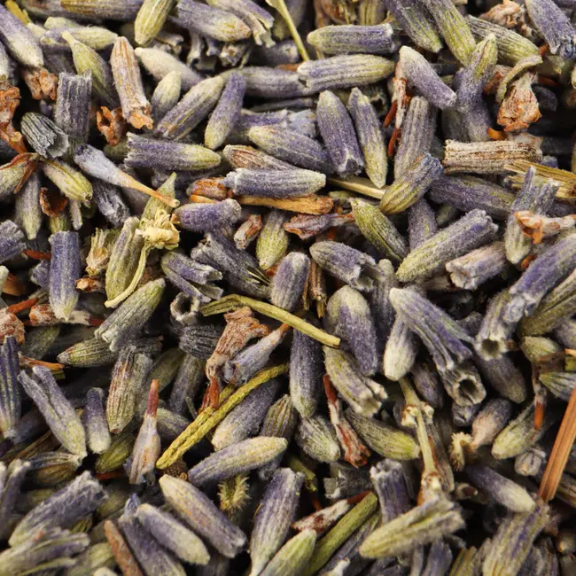 French Lavender Flowers Herbs Buds 0.5oz - Fragrant Sleep Anxiety - Full Moon Farms