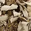 White Sage & Mugwort (Black Sage) Loose Smudge Mix- 1oz - Full Moon Farms