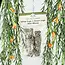 White Sage & Desert Sage Mini Smudge Stick- 2 Pack -Full Moon Farms