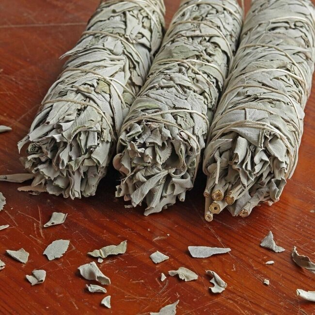 White Sage Jumbo Bundle Smudge Stick-  8-9"