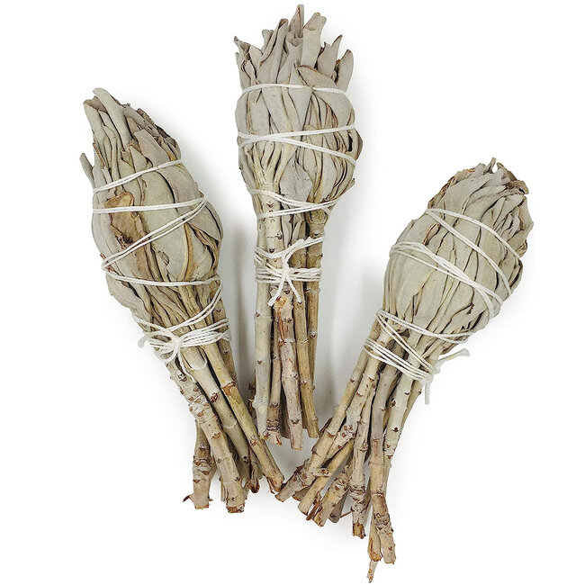 White Sage Smudge Torch Stick Bundle - 3-4" Small