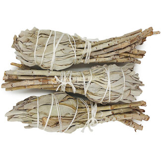 White Sage Smudge Torch Stick Bundle - 3-4" Small