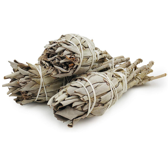 White Sage Smudge Torch Stick Bundle - 3-4" Small