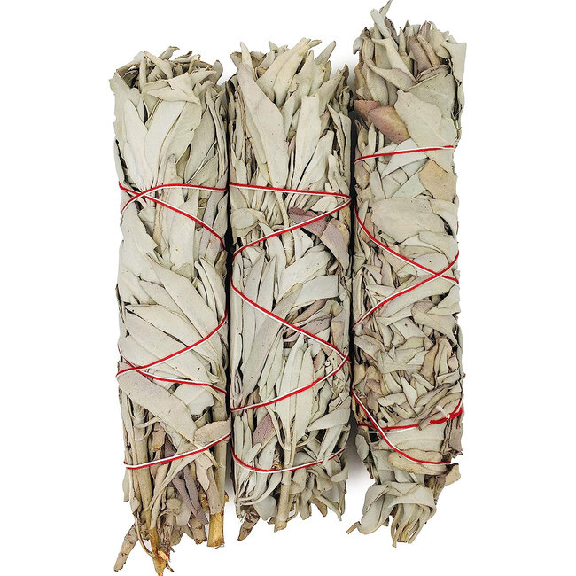 White Sage Jumbo Bundle Smudge Stick-  8-9"