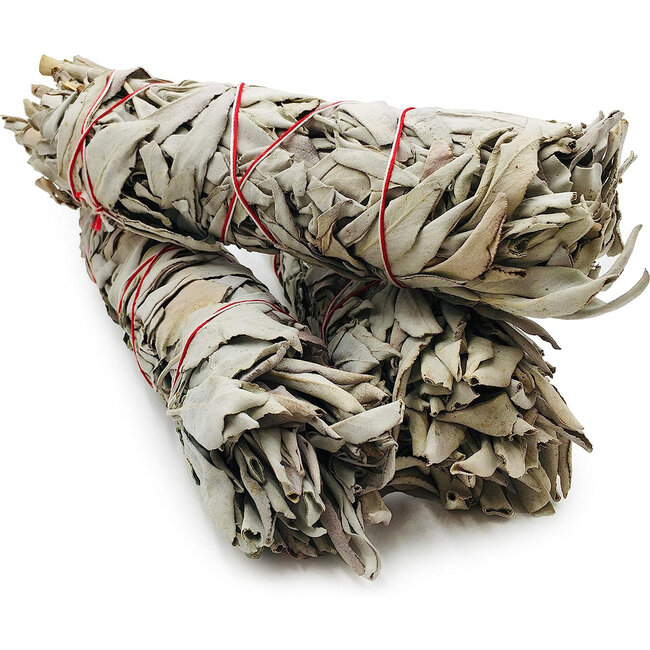 White Sage Jumbo Bundle Smudge Stick-  8-9"