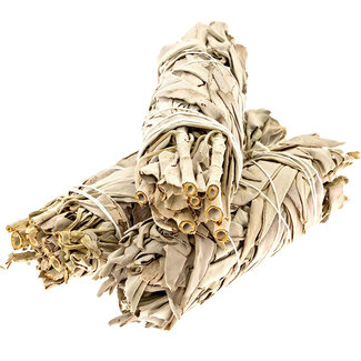 White Sage Bundle Smudge Stick - 4" Medium