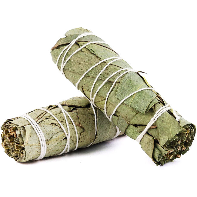 Eucalyptus Sage Bundle Smudge Stick - 4"