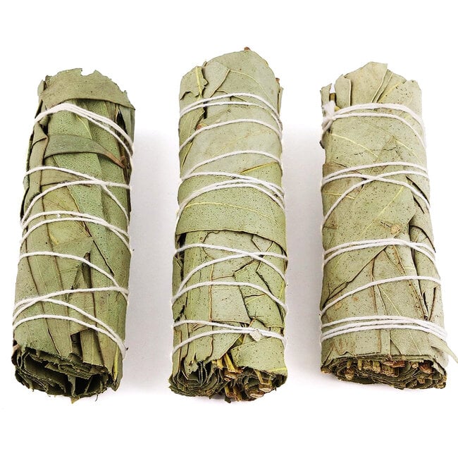 Eucalyptus Sage Bundle Smudge Stick - 4"