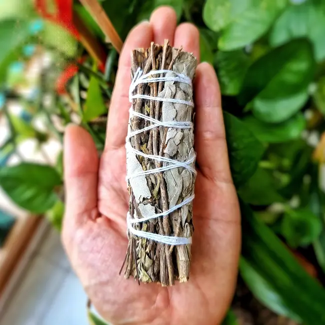 White Sage & Royal Sage Bundle Smudge Stick 4"