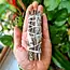 White Sage & Royal Sage Bundle Smudge Stick 4"