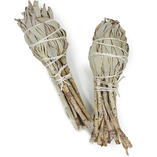 White Sage Mini Smudge Stick- 2 Pack -Full Moon Farms