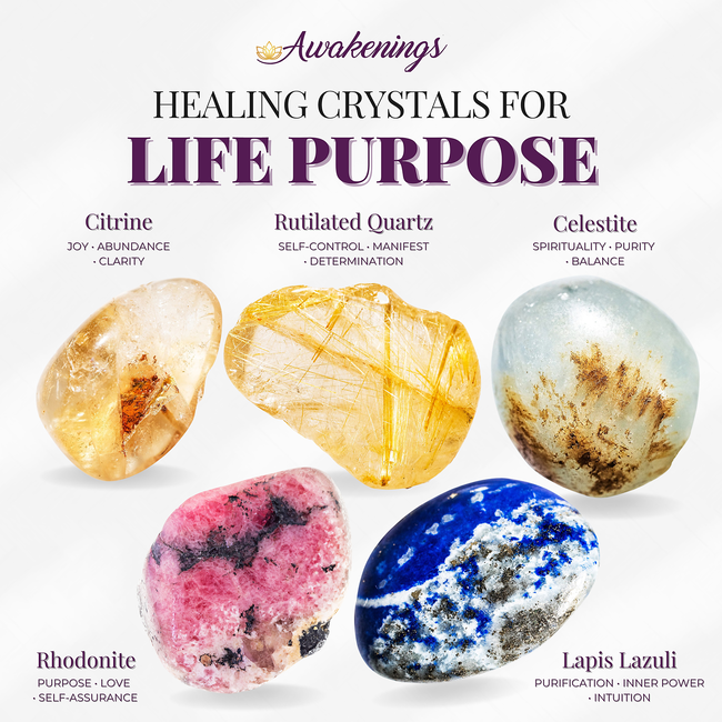 Life Purpose - Crystal Kits Set Bundle Pack Citrine Rutilated Quartz Celestite Rhodonite Lapis Lazuli