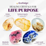 Life Purpose - Crystal Kits Set Bundle Pack Citrine Rutilated Quartz Celestite Rhodonite Lapis Lazuli