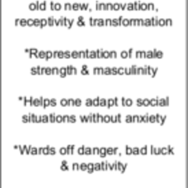 Megalodon Shark Tooth Pendant - Sterling Silver Medium Rough Raw Natural