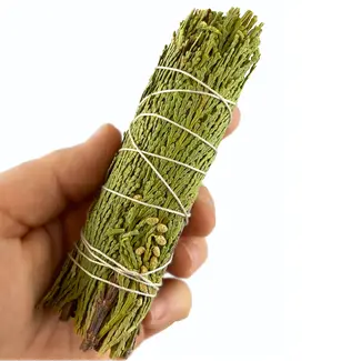 Cedar Sage Bundle Smudge Stick - 4"