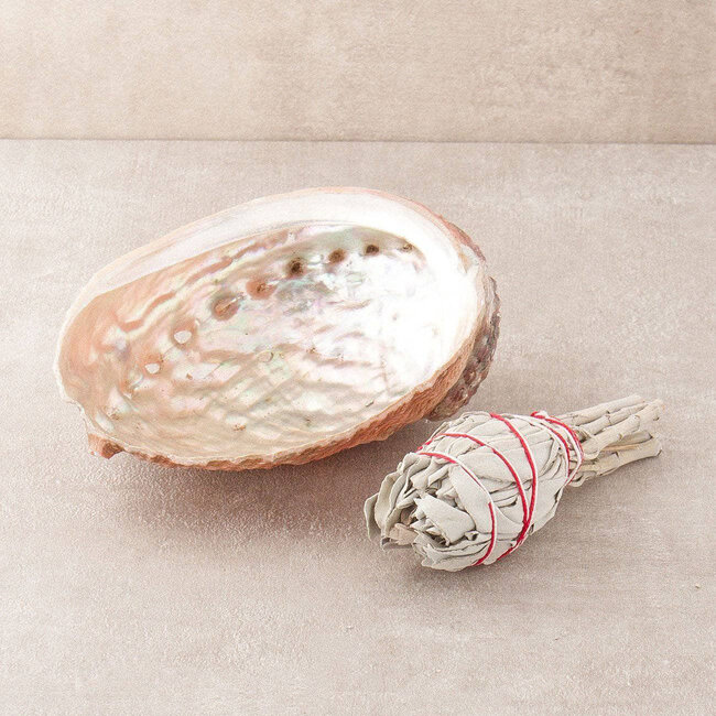 Pearl Pink & White Oyster Smudge Sage Smudge Shell- Large (6-7")