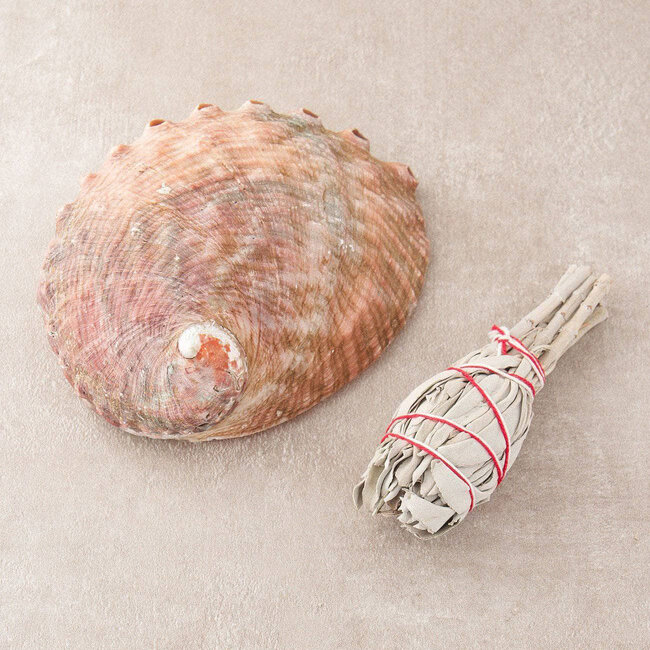 Pearl Pink & White Oyster Smudge Sage Smudge Shell- Large (6-7")