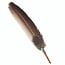 Dark Brown and Black Polka Dot Smudge/Sage Turkey Feather with Turquoise Bead (10-12")