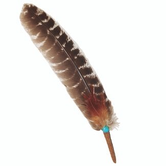 Dark Brown and Light Brown Smudge/Sage Turkey Feather with Turquoise Bead  (10-12")