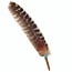Dark Brown and Light Brown Smudge/Sage Turkey Feather with Turquoise Bead  (10-12")