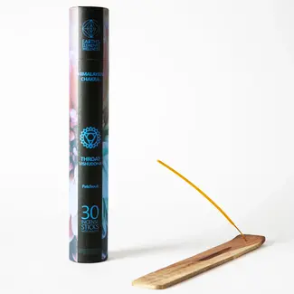 Throat Chakra-Patchouli Incense-30 Sticks & Sled Burner-Earth's Elements