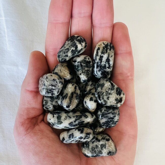 Guinea Fowl Quartz - Tumbled