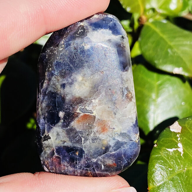 Iolite/Water Sapphire & Sunstone - Large Tumbled