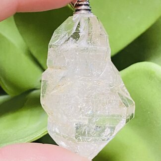 Elestial (Skeletal Window Jacare Alligator) Clear Crystal Quartz - Pendant - Rough Raw Natural