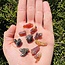 Fire Red Zincite - Rough Raw Natural