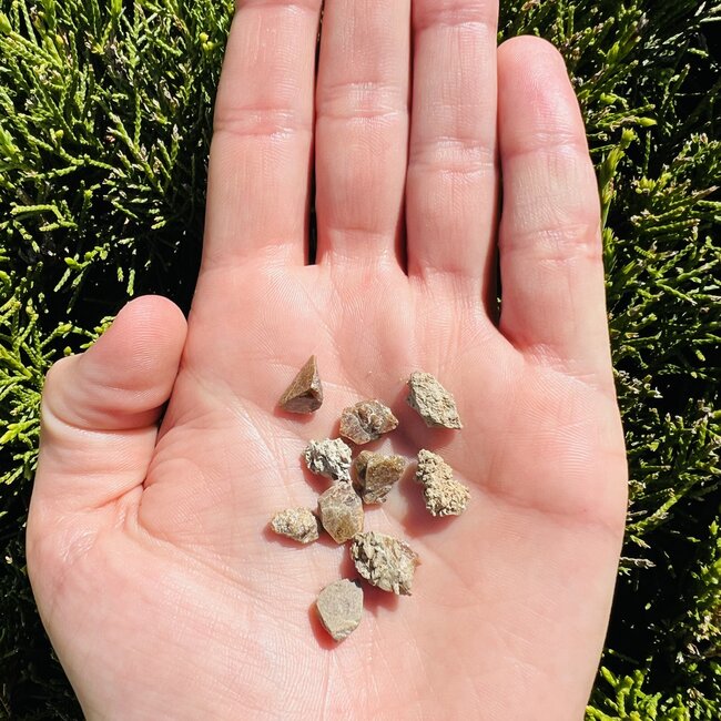 Monazite - Rough Raw Natural