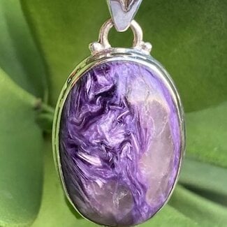 Charoite Pendant Oval Sterling Silver