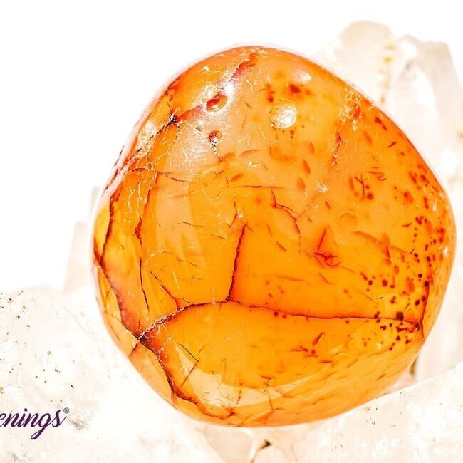 Madagascar Carnelian - Tumbled