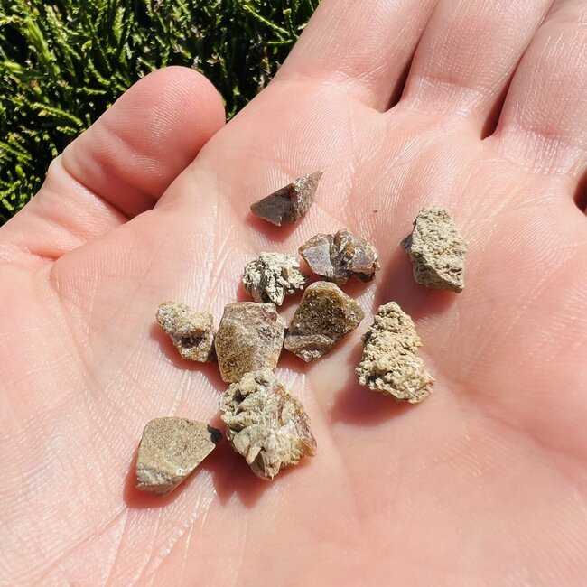 Monazite - Rough Raw Natural