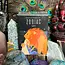 Zodiac Tarot in a Tin Pocket Cards Deck